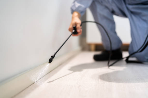 Licensed Termite Control service in Waterman, IL - Nex Pest Control