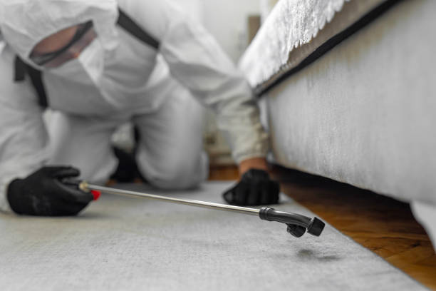 Professional Termite Control technician working in Waterman, IL