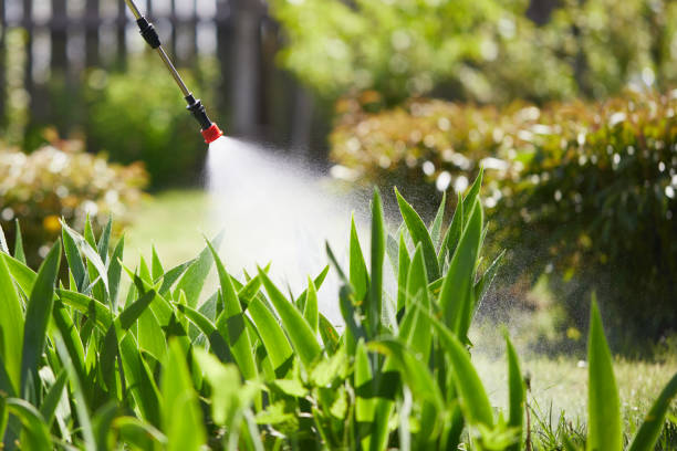 24/7 Emergency Termite Control experts in Waterman, IL