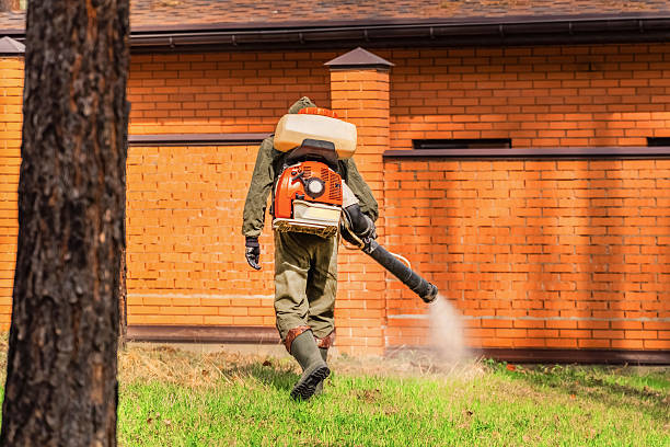 Top rated local Termite Control specialists in Waterman, IL